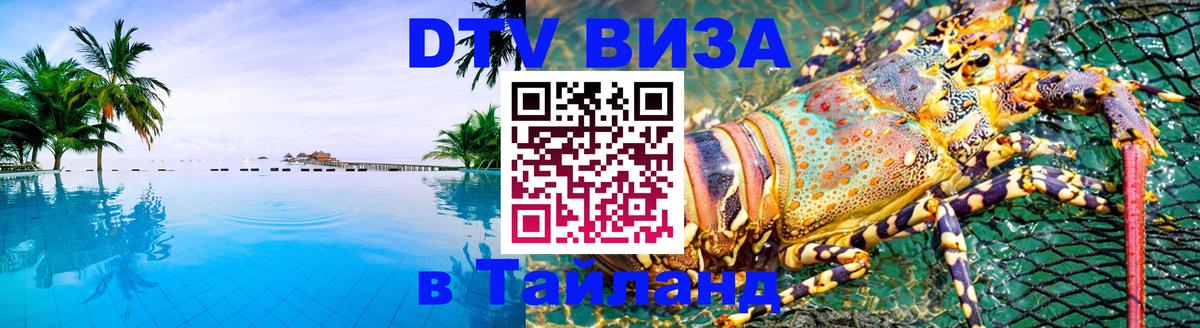 Оформление DTV визы под ключ: стоимость и тарифы, только загранпаспорт - Набережные Челны  08.01.2026 